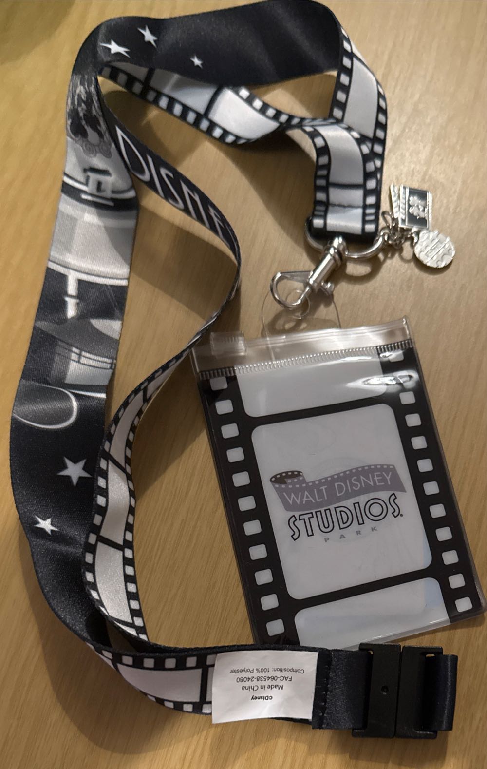 Dvc Epcot Moonlight Magic