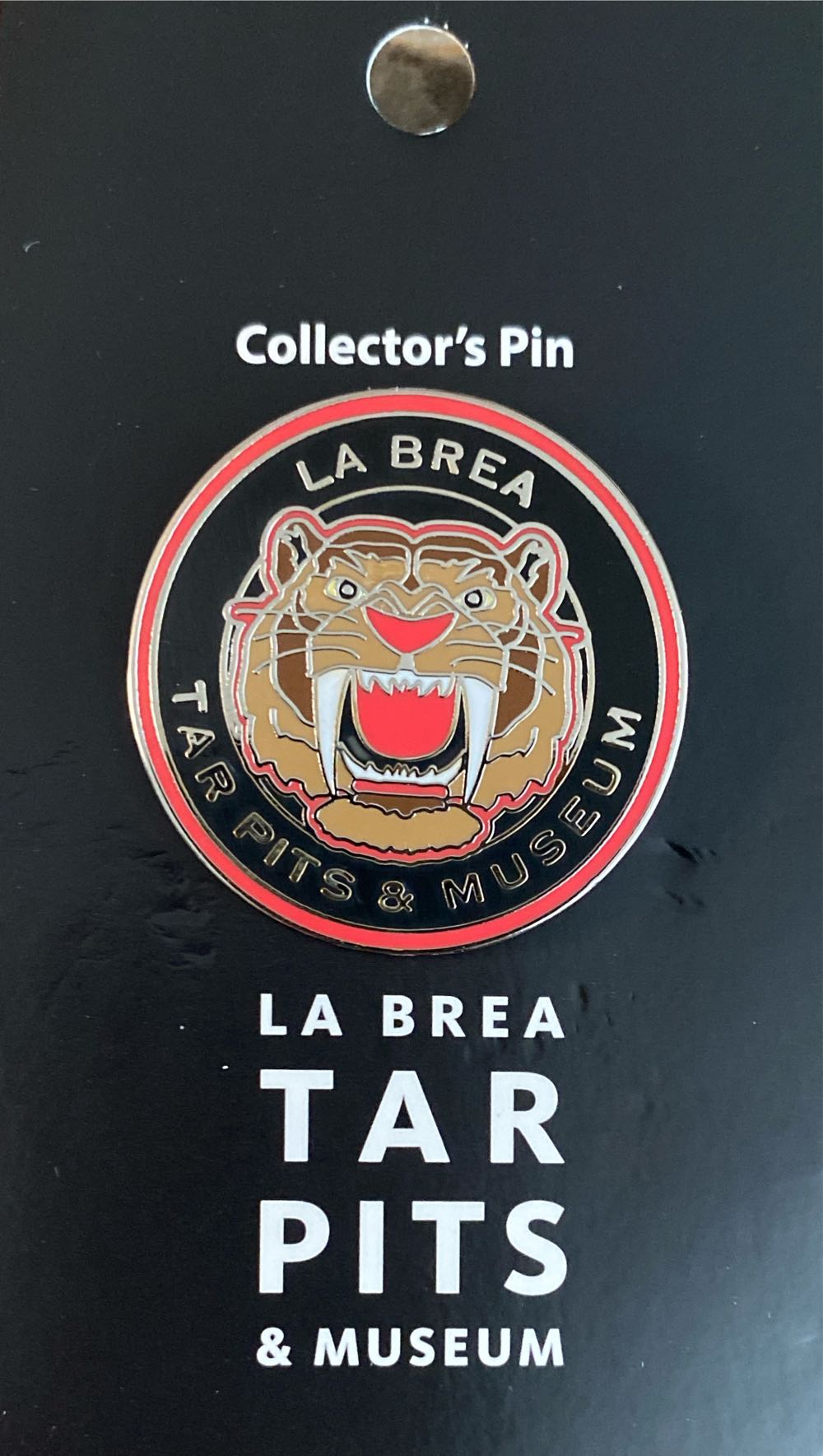 2023 Christmas Resort Pin Animal Kingdom Lodge Wdw Stocking