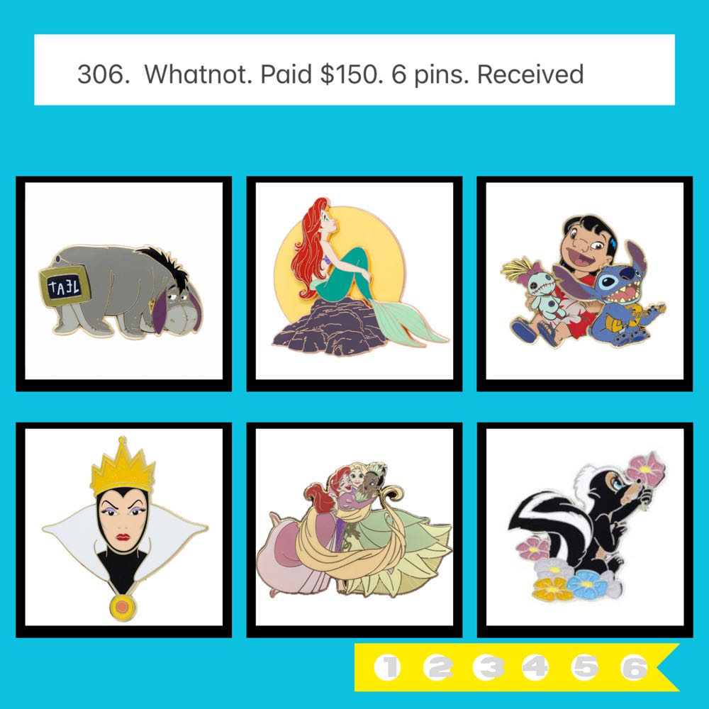 ZZZ305-308  pin collectible - Main Image 2