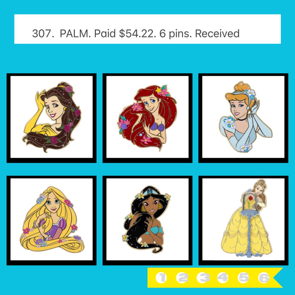 ZZZ305-308  pin collectible - Main Image 3