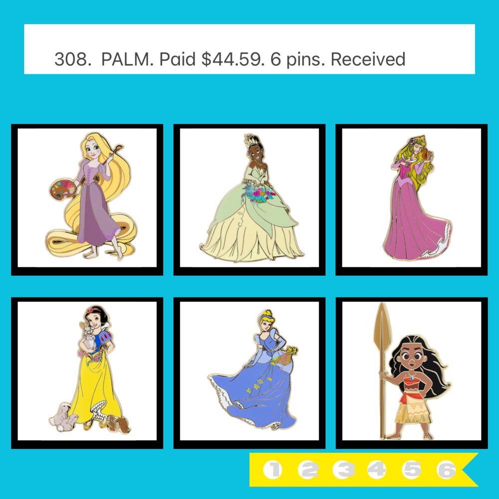 ZZZ305-308  pin collectible - Main Image 4