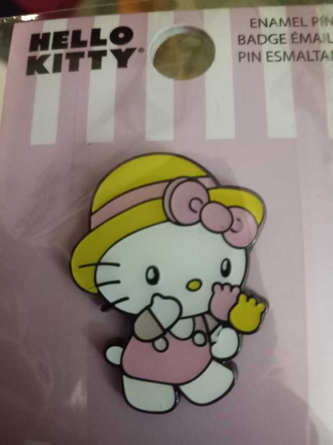 Donald Duck Popcorn Bucket