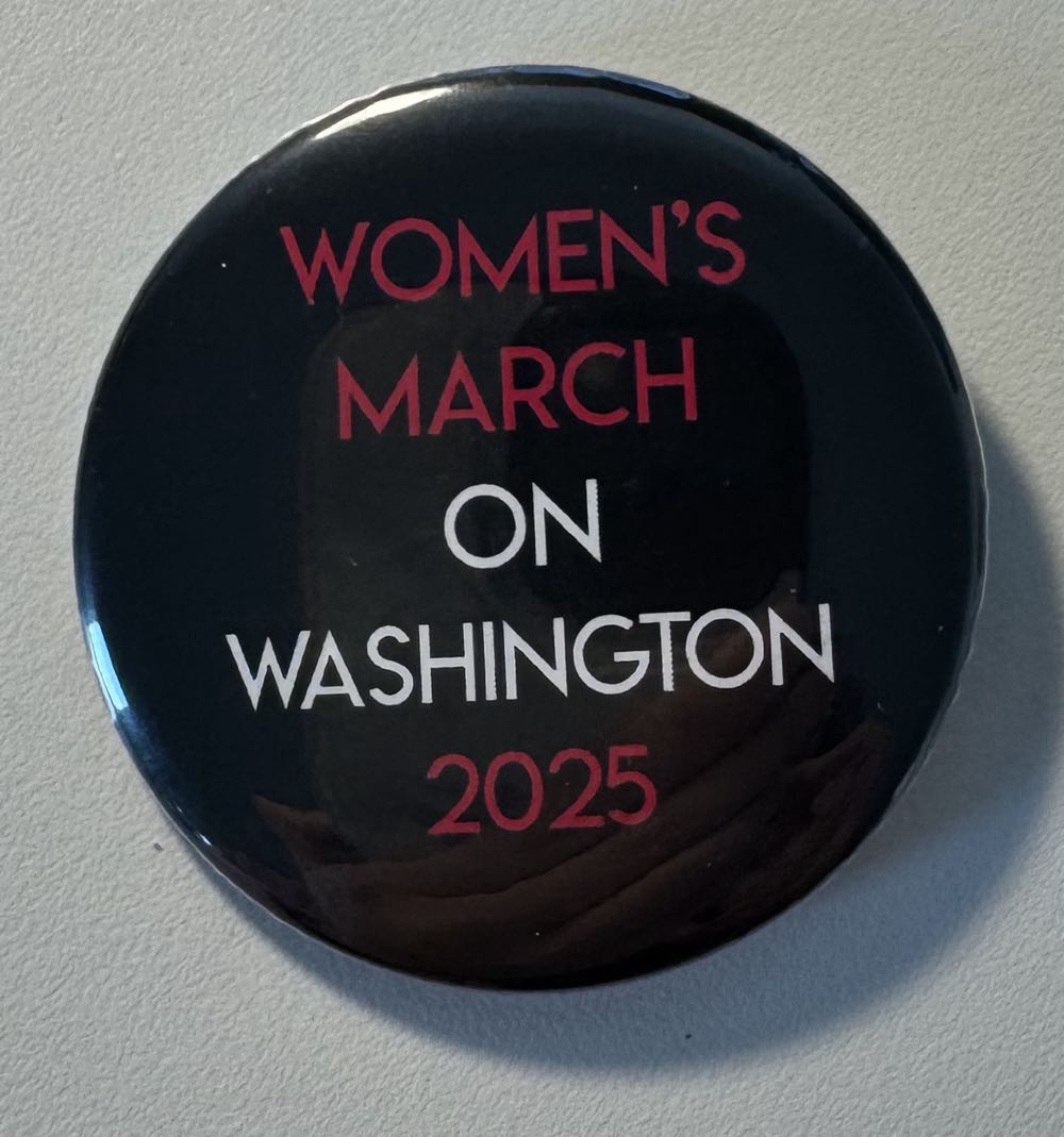 Pinocchio Poster Pin