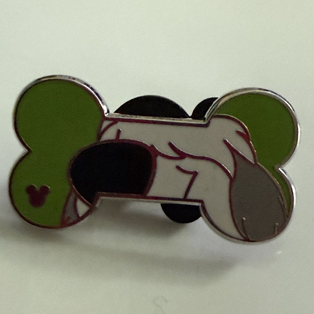 Disney Universal Studios Jurasic Park Pin