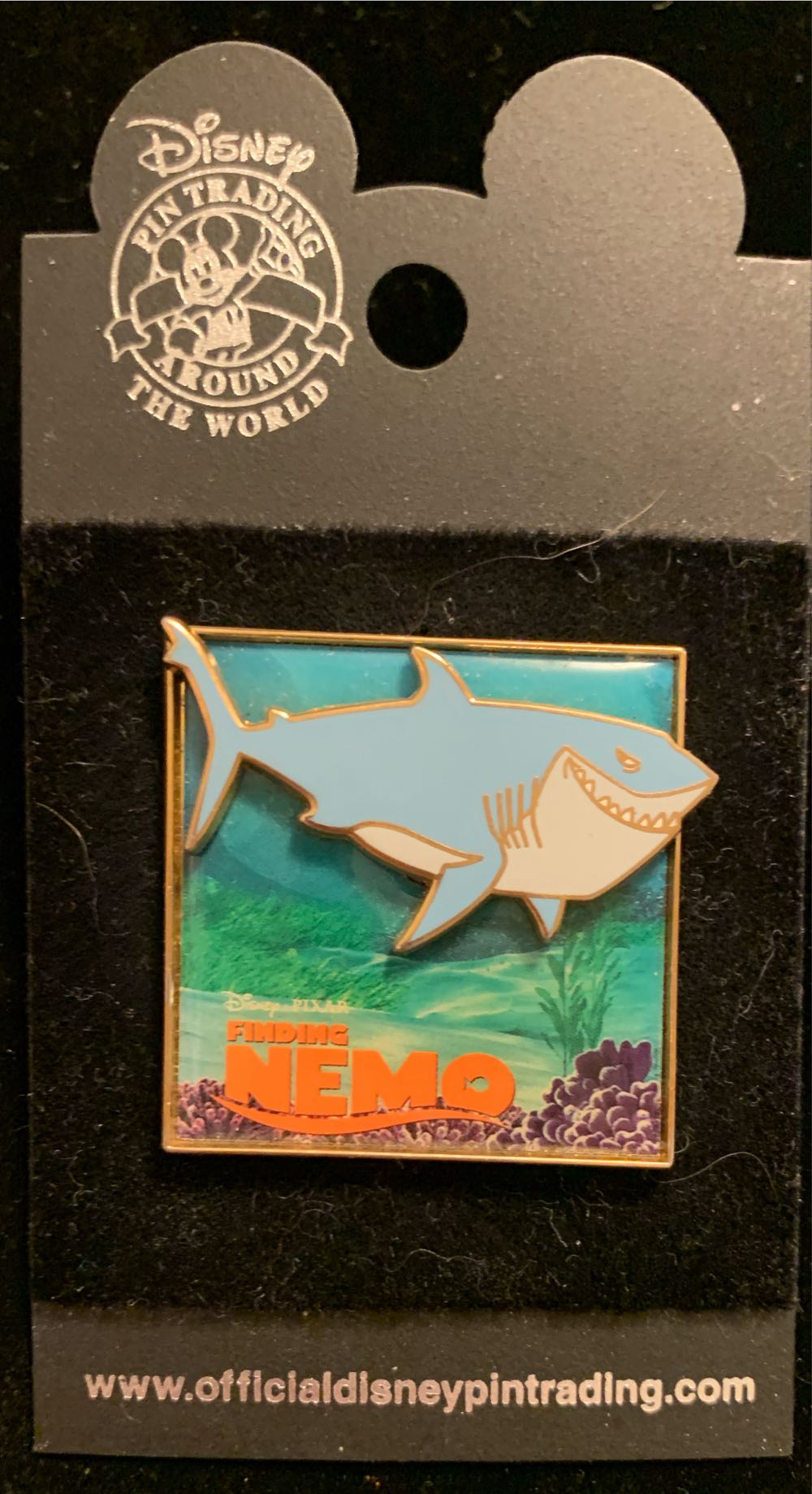 Corona Lantern Tangled