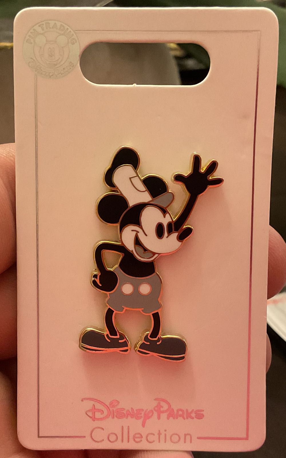 View Pin: Dssh Cursive Cuties Mirabel