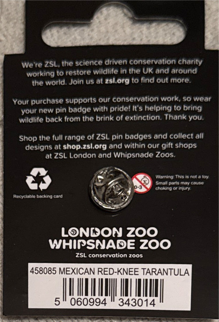 ZSL - Mexican Red Knee Tarantula - Lapel pin collectible [Barcode 5060994343014] - Main Image 2
