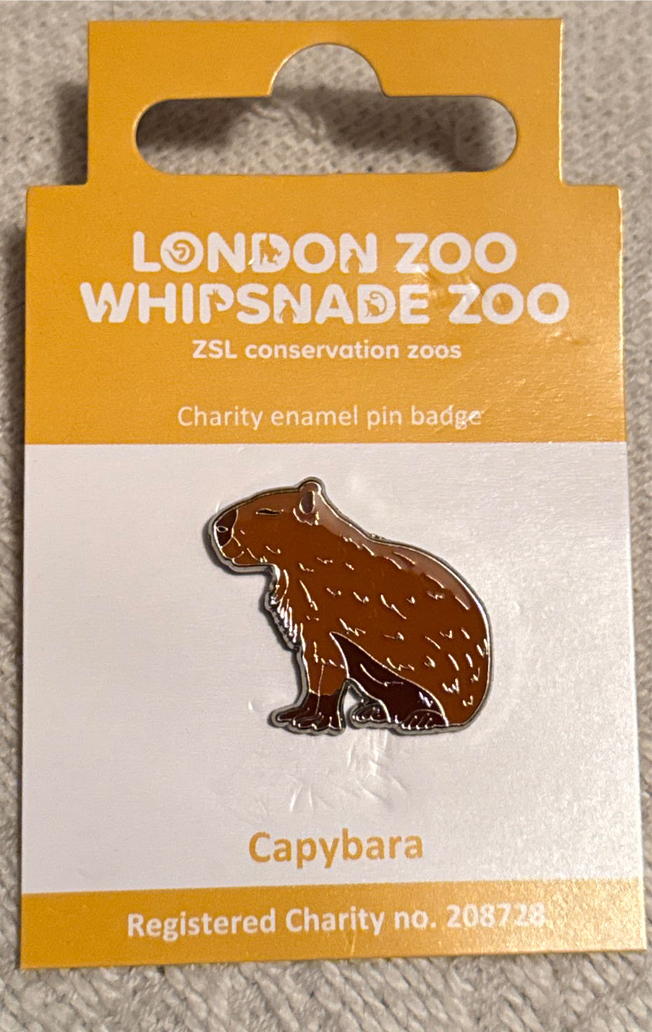 Moon - Alice In Wonderland