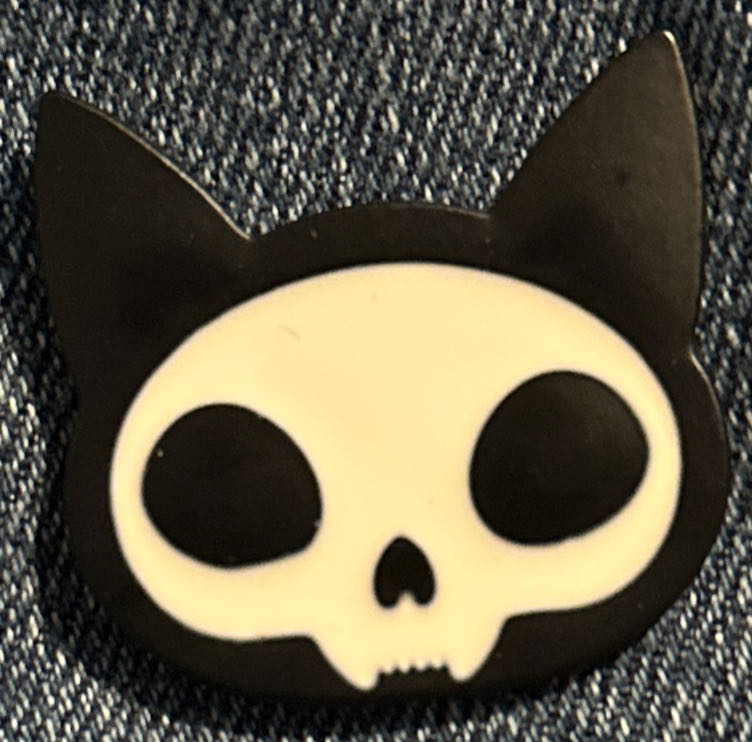 I Hiked Angels Landing Zion National Park