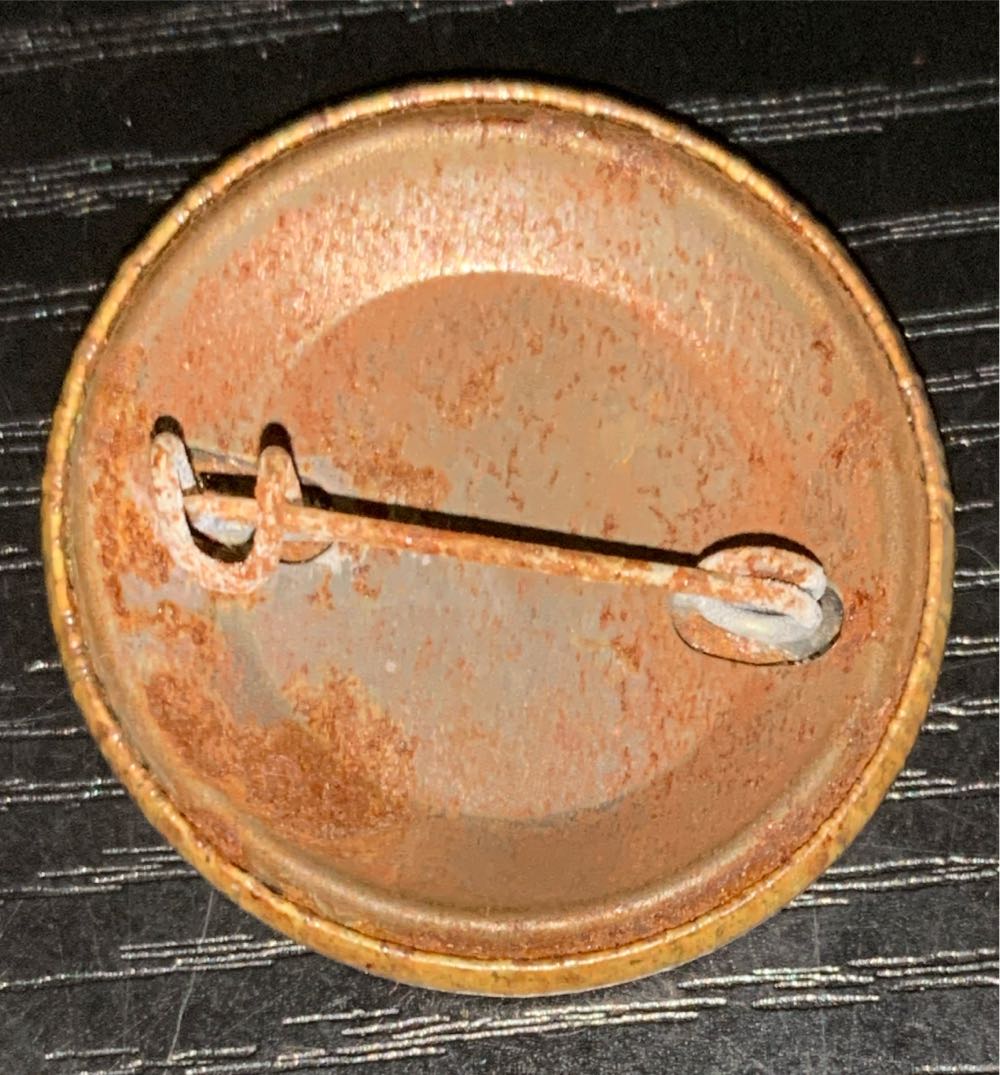 Stationary Guard - Safety pin pin collectible - Main Image 2