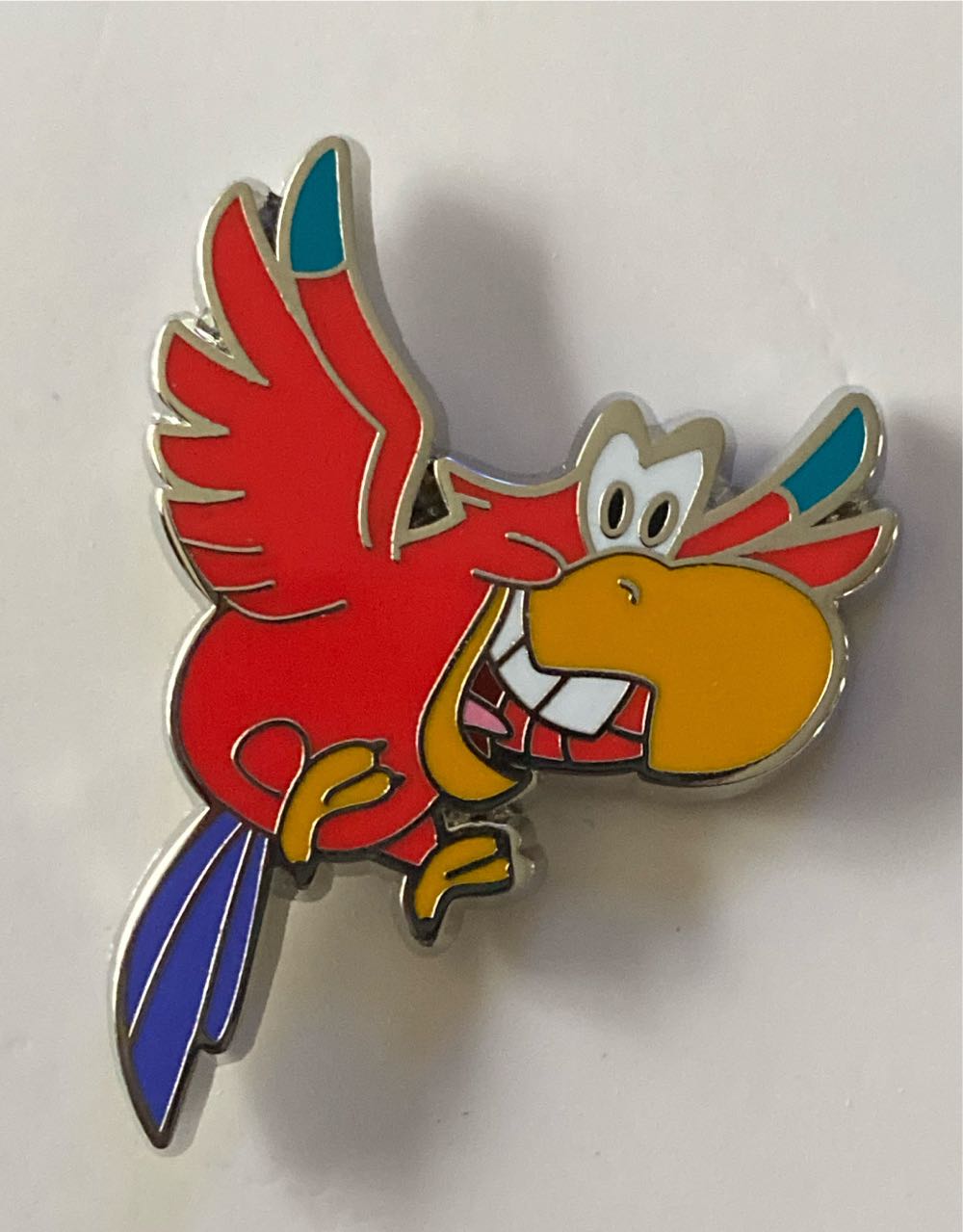 ZSL - Mexican Red Knee Tarantula