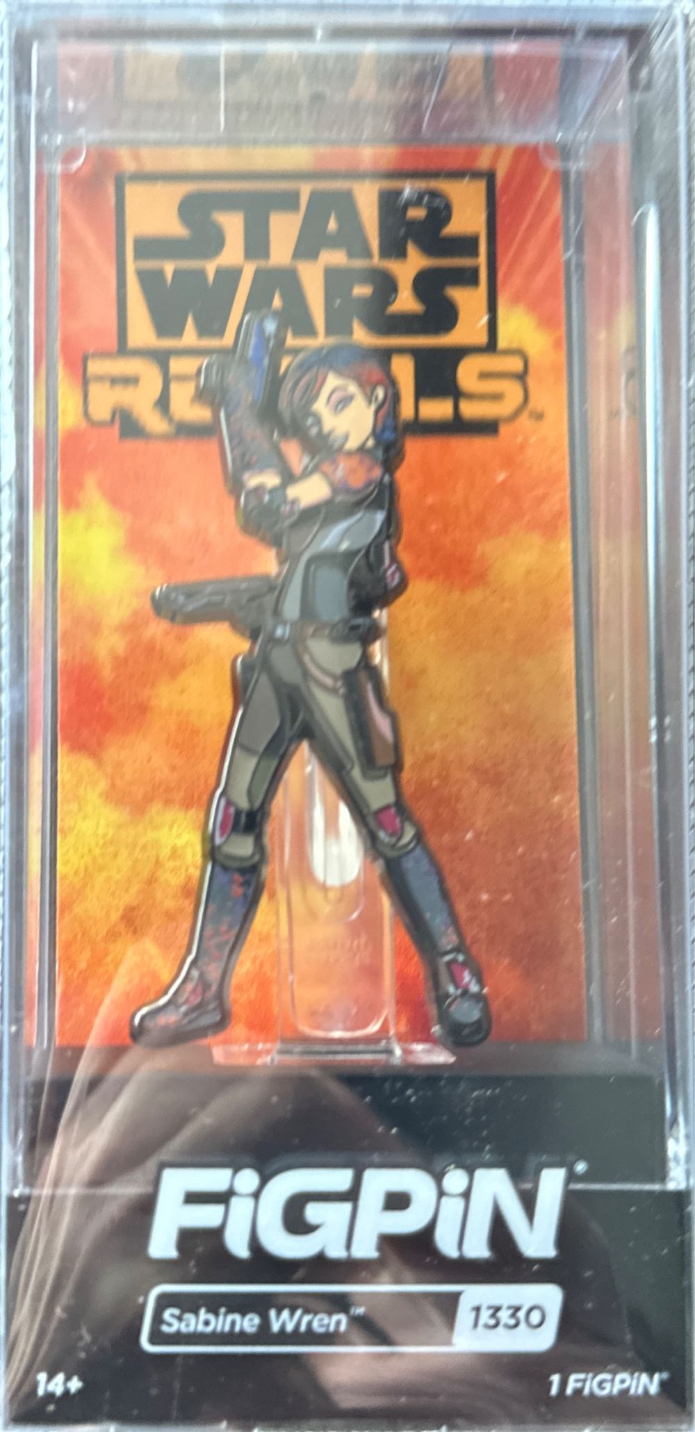 Peter Pan And Shadow