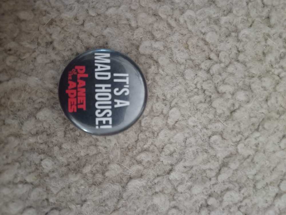 ZSL - Blue Footed Booby