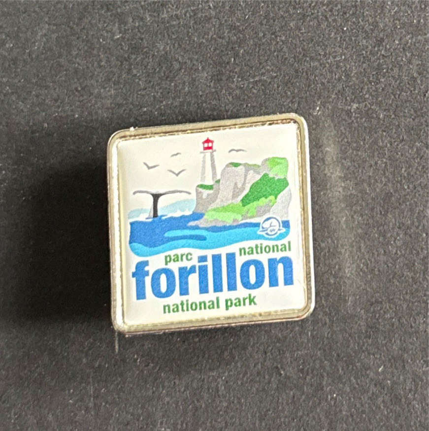 Night Fury And Light Fury