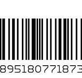Divas Have All The Fun