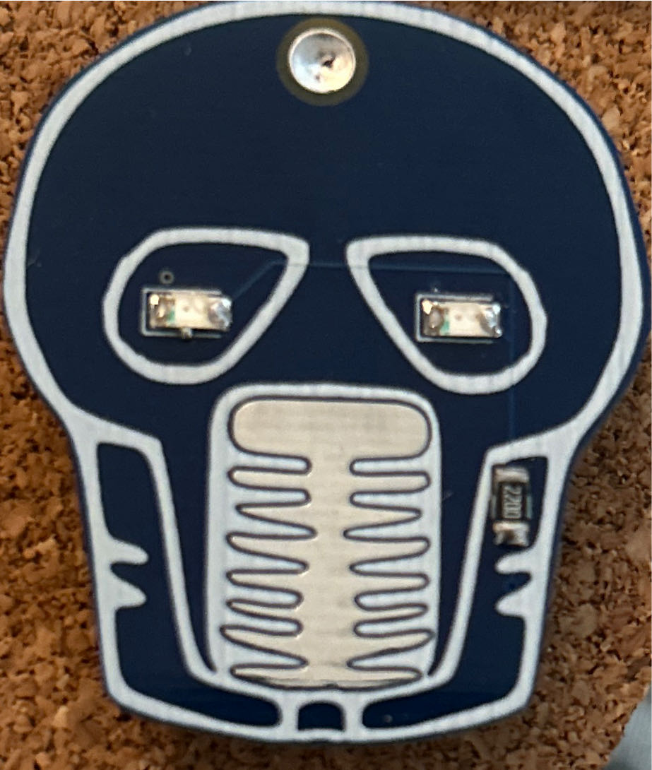 Incorporated Sanitary Inspectors Association - 1924 Whitley Bay