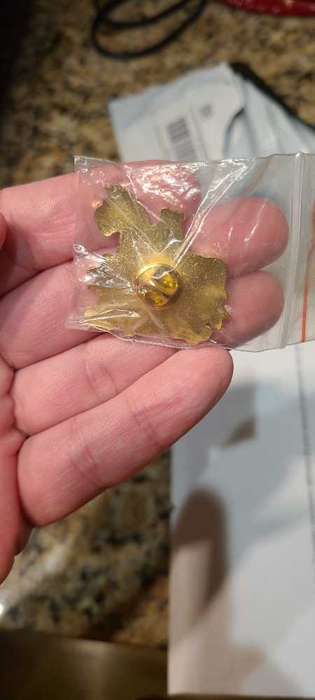 2011 25th Class Reunion  pin collectible - Main Image 2