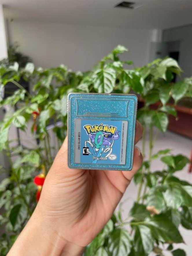 Incorporated Sanitary Inspectors Association - 1924 Whitley Bay