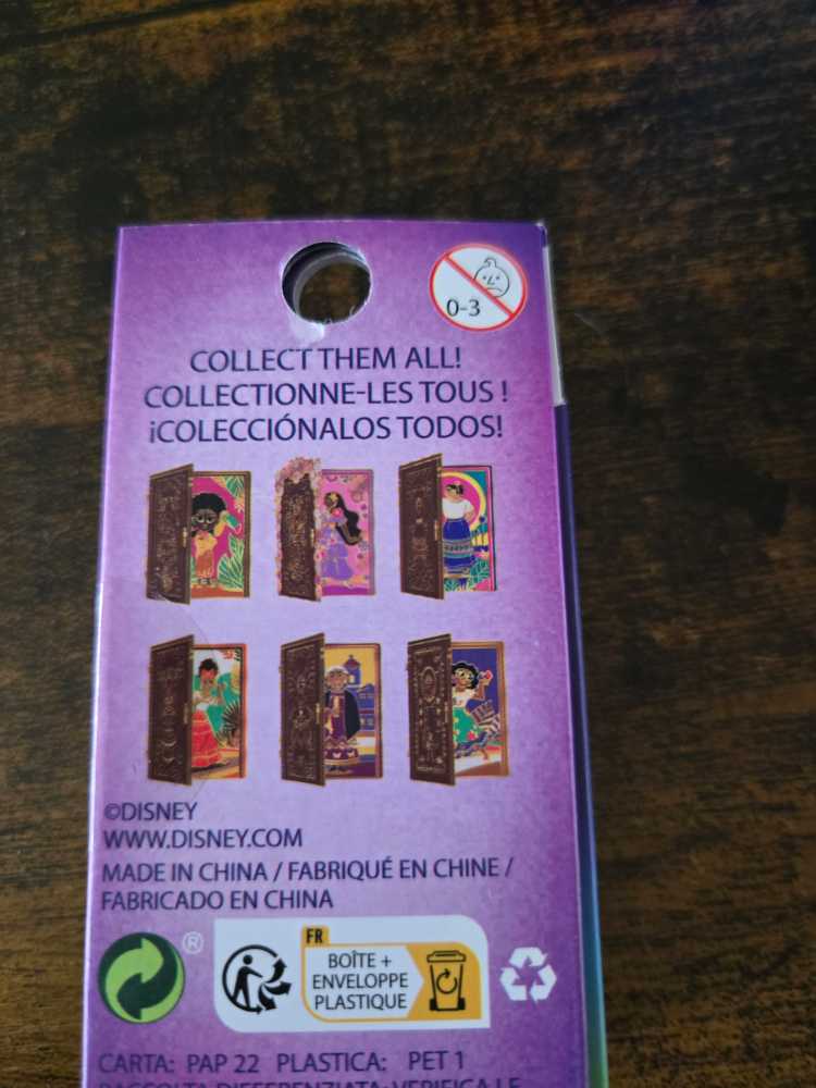 Encanto Doors  pin collectible - Main Image 4