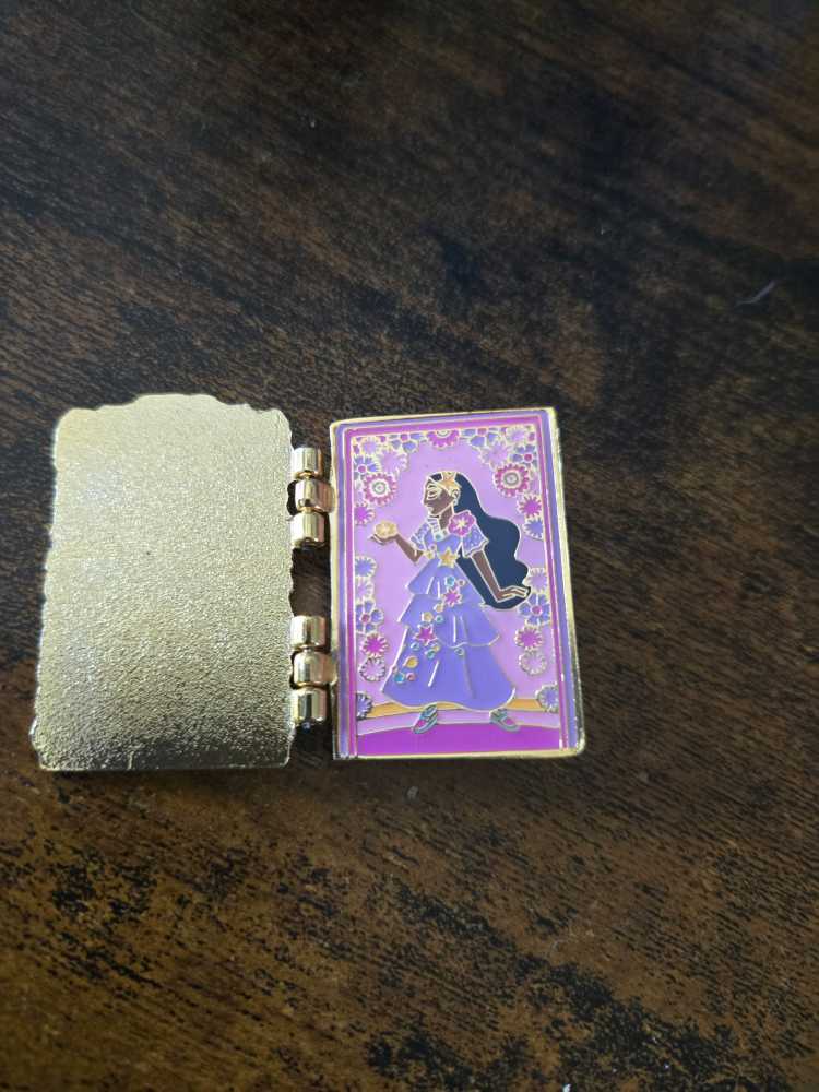Encanto Doors  pin collectible - Main Image 2
