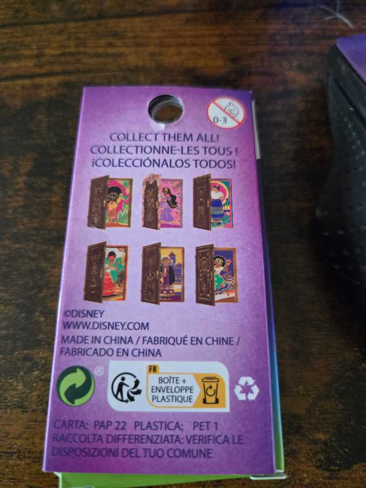 Encanto Doors  pin collectible - Main Image 4