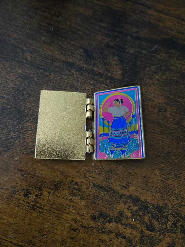 Encanto Doors  pin collectible - Main Image 2