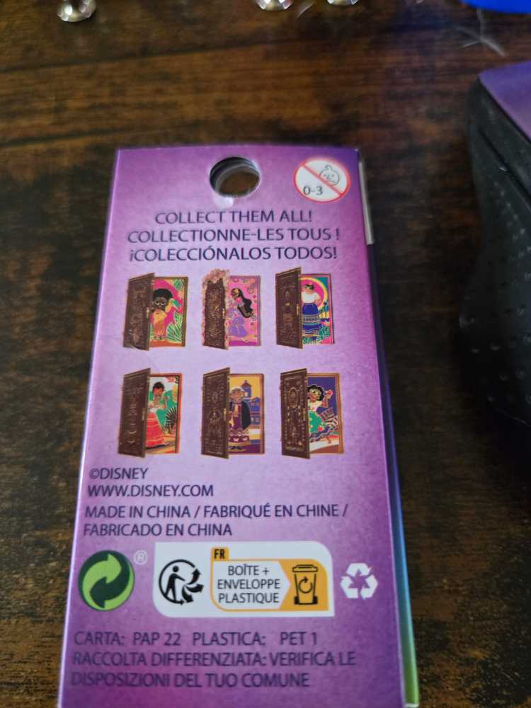 Encanto Doors  pin collectible - Main Image 4