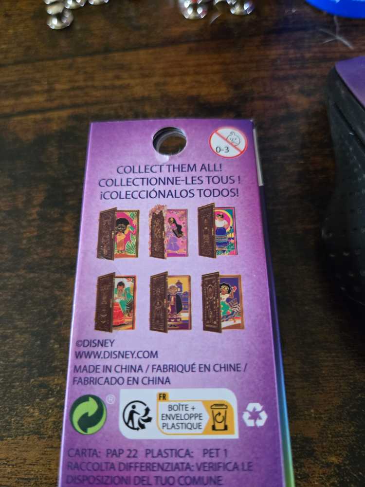 Encanto Doors  pin collectible - Main Image 4