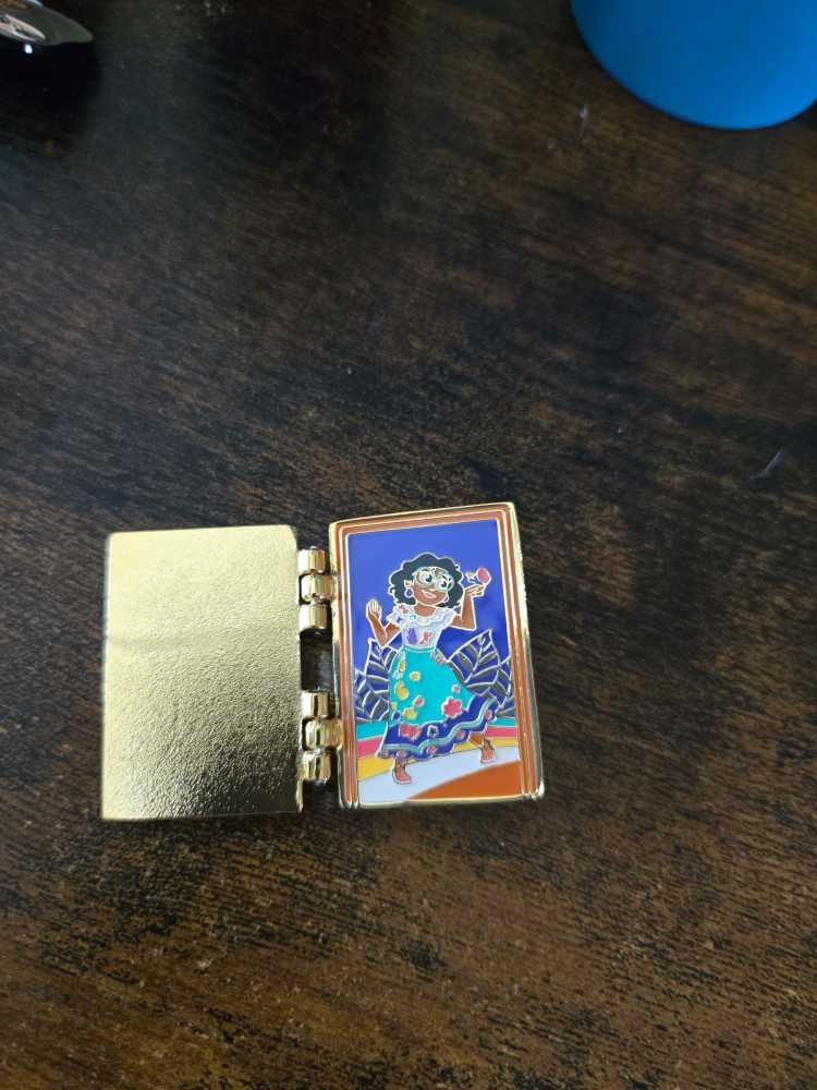Encanto Doors  pin collectible - Main Image 2
