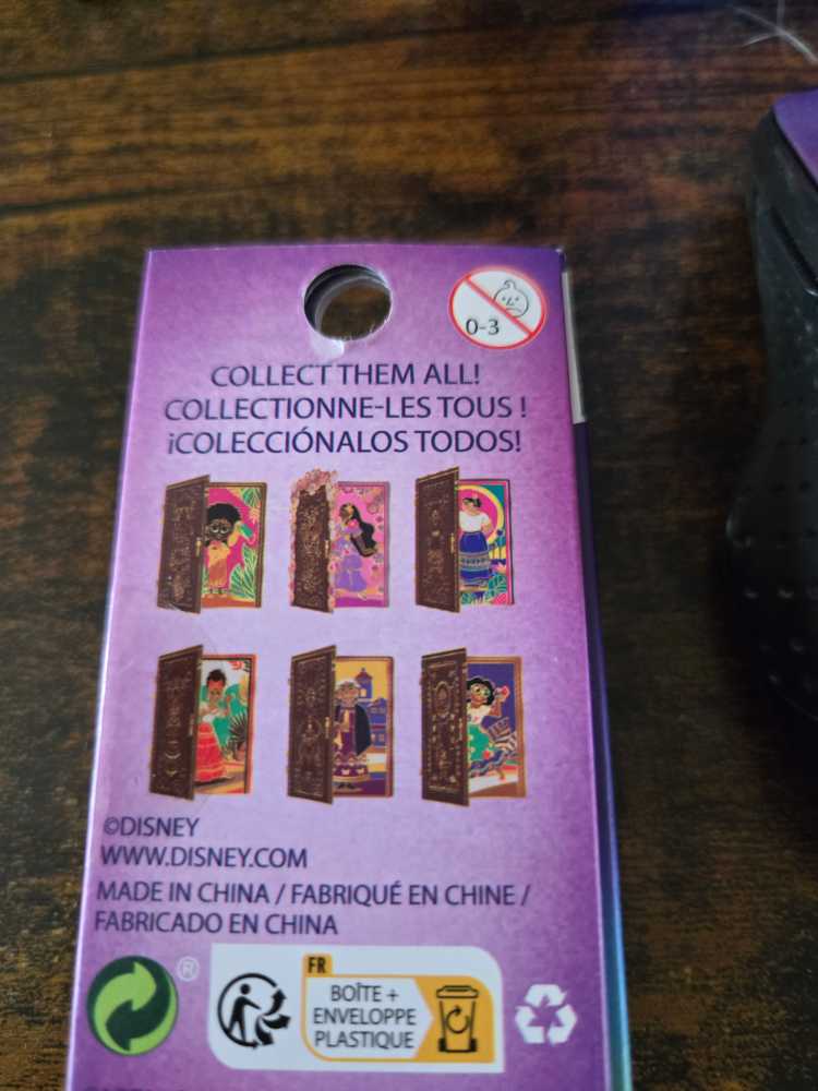 Encanto Doors  pin collectible - Main Image 4