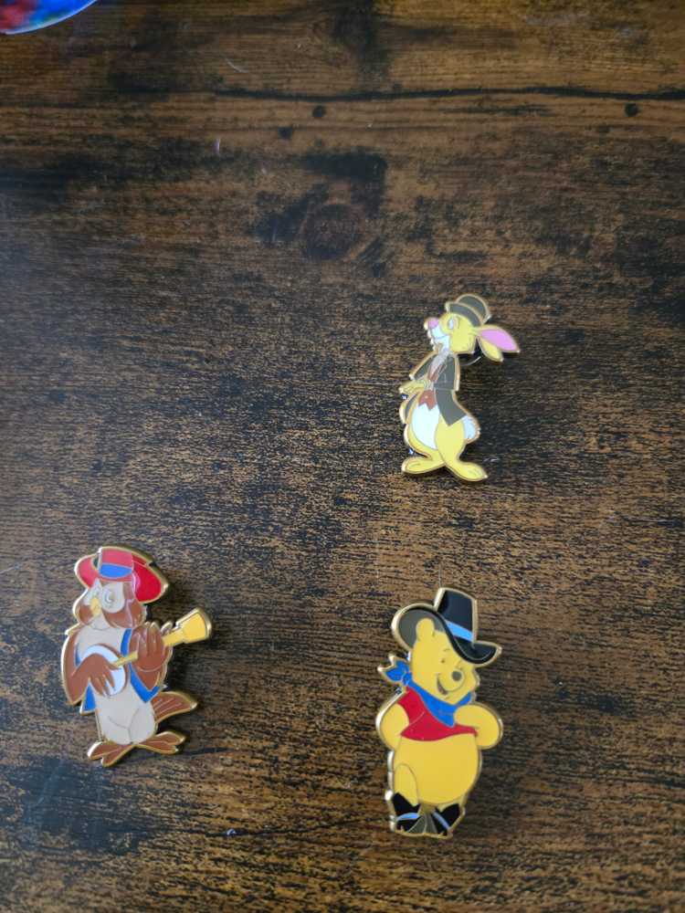 WTP Western  pin collectible - Main Image 2