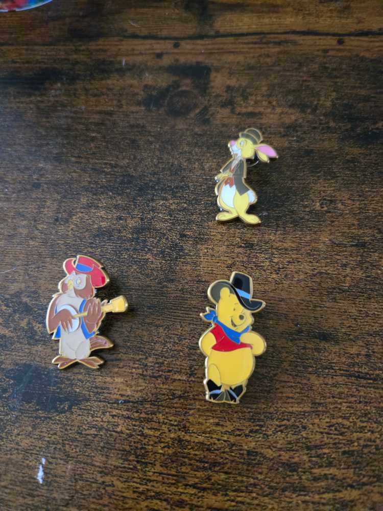 WTP Western  pin collectible - Main Image 2