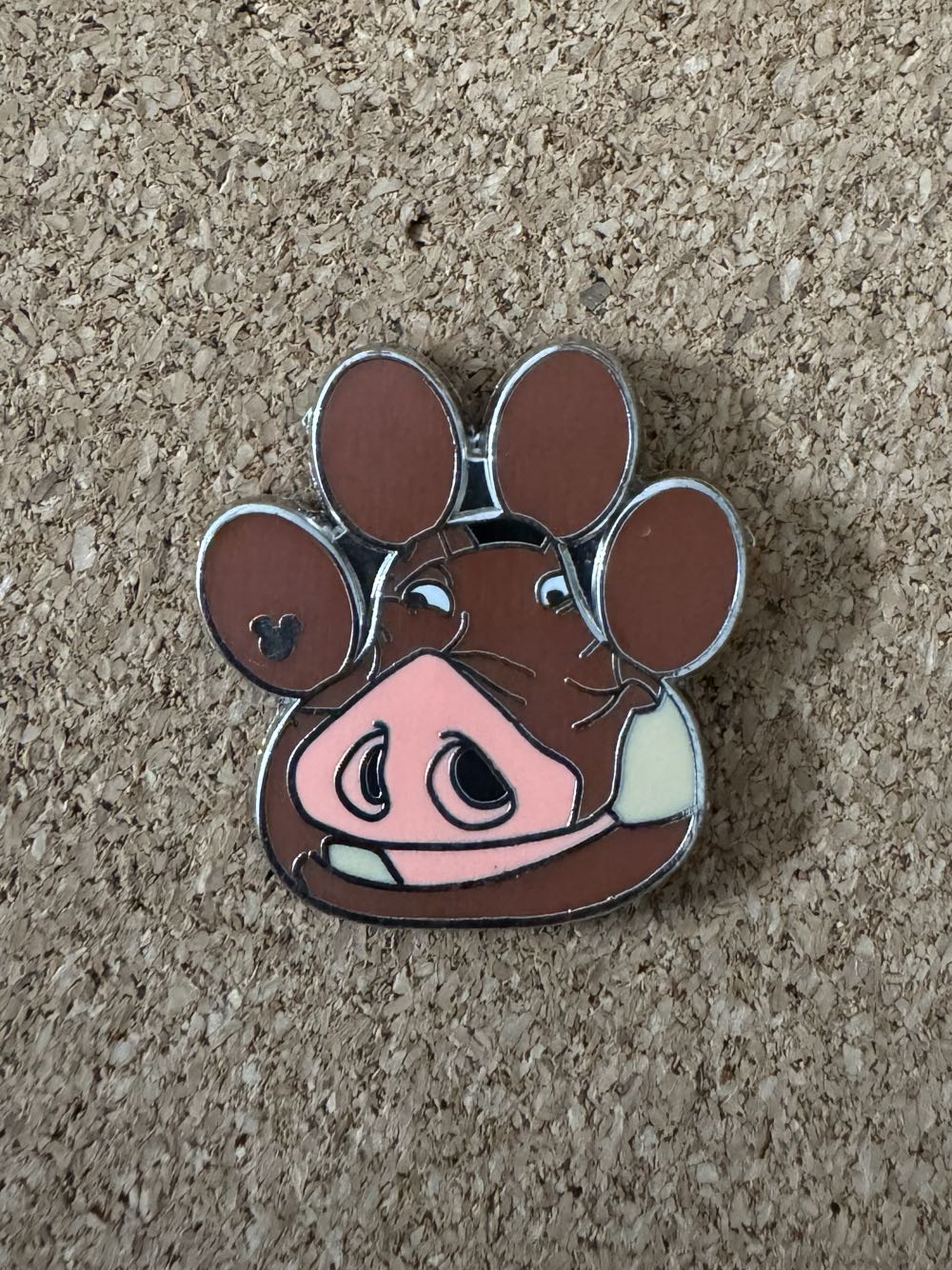 Chartered Society of Physiotherapy - Eastbourne 1996