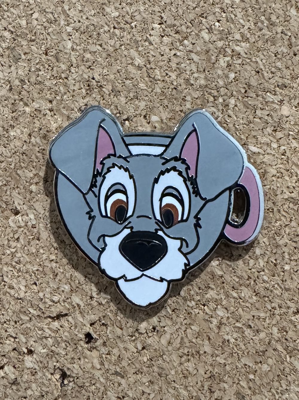 Association of Government Supervisors and Rafio Officers