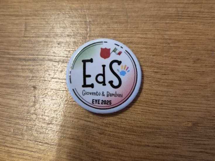 Ariel And Sebastian 2 Pin Set