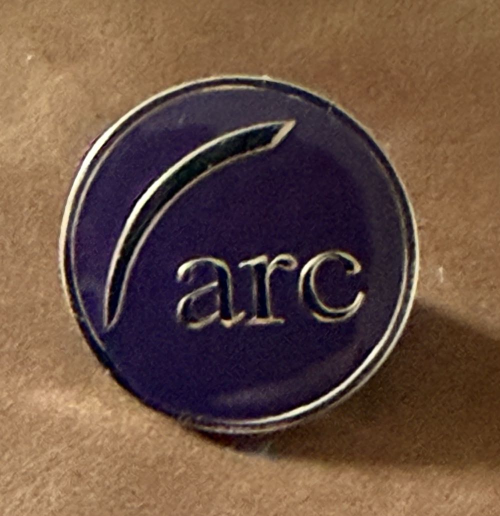 Disney Parks Rapunzel Tangled Flynn Rider Wanted Dead Or Alive Poster Pin 161452