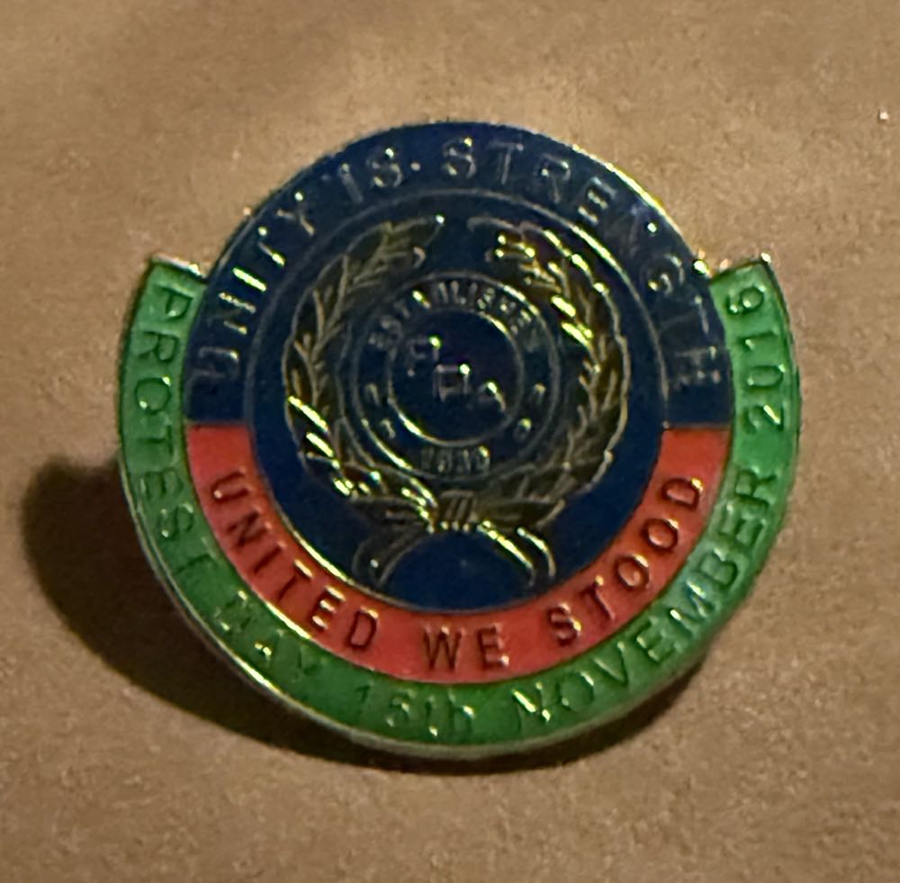 Slippers - Cheshire Cat