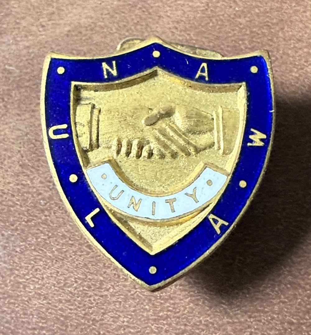 Slippers - Cheshire Cat