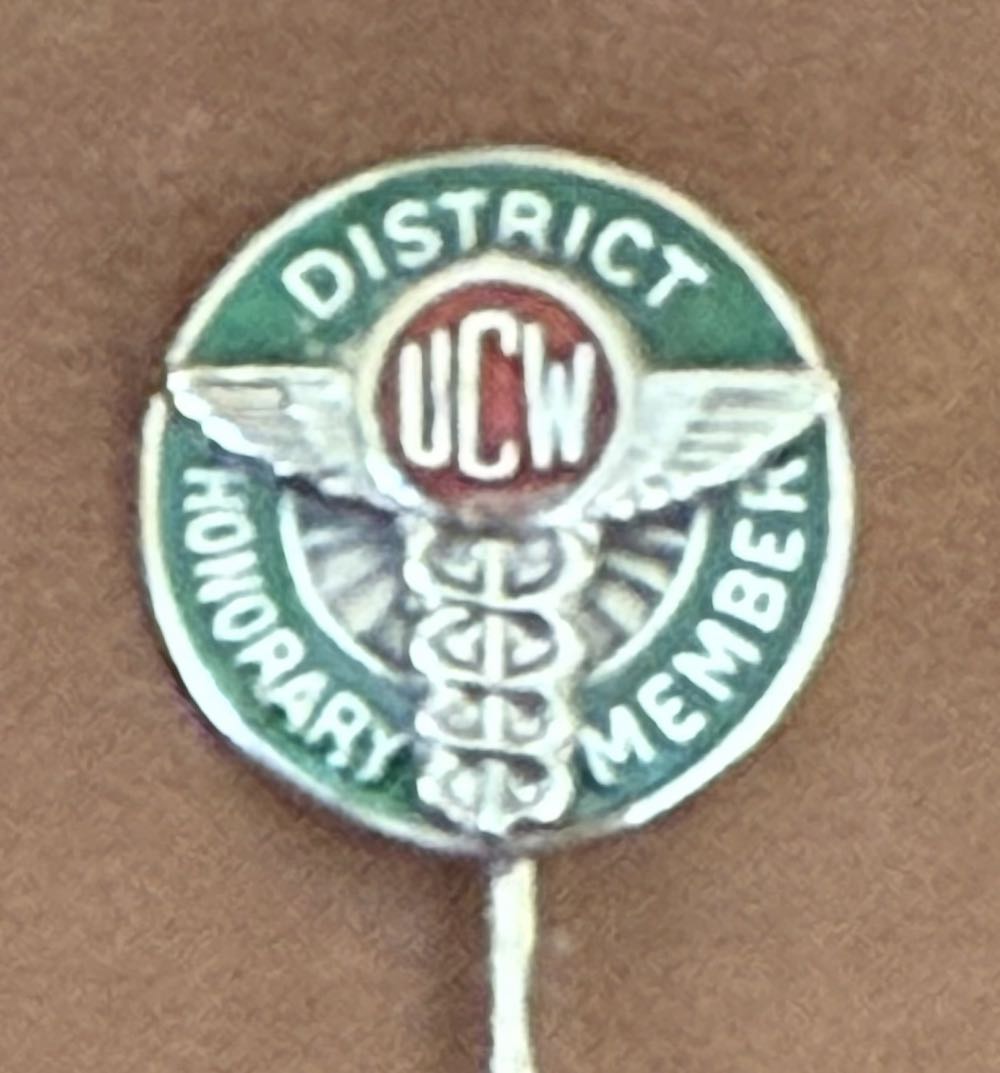 Arcadia (Rapunzel) Fantasy @Allthingsnerdy