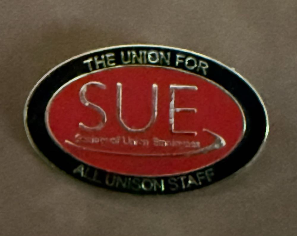 Admit One Ticket - Chip ‘n Dale