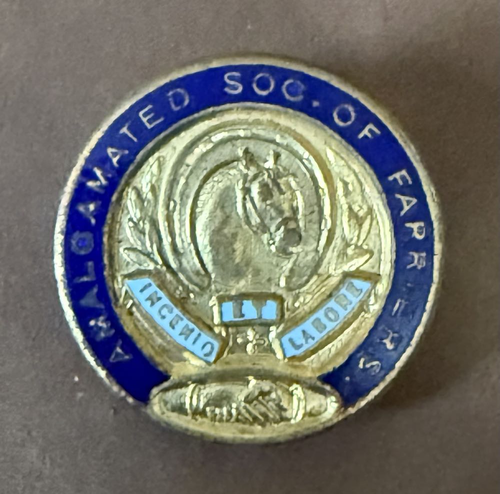 70th Anniversary Disneyland Resort  Stitch 626 Lilo Celebrating S 25