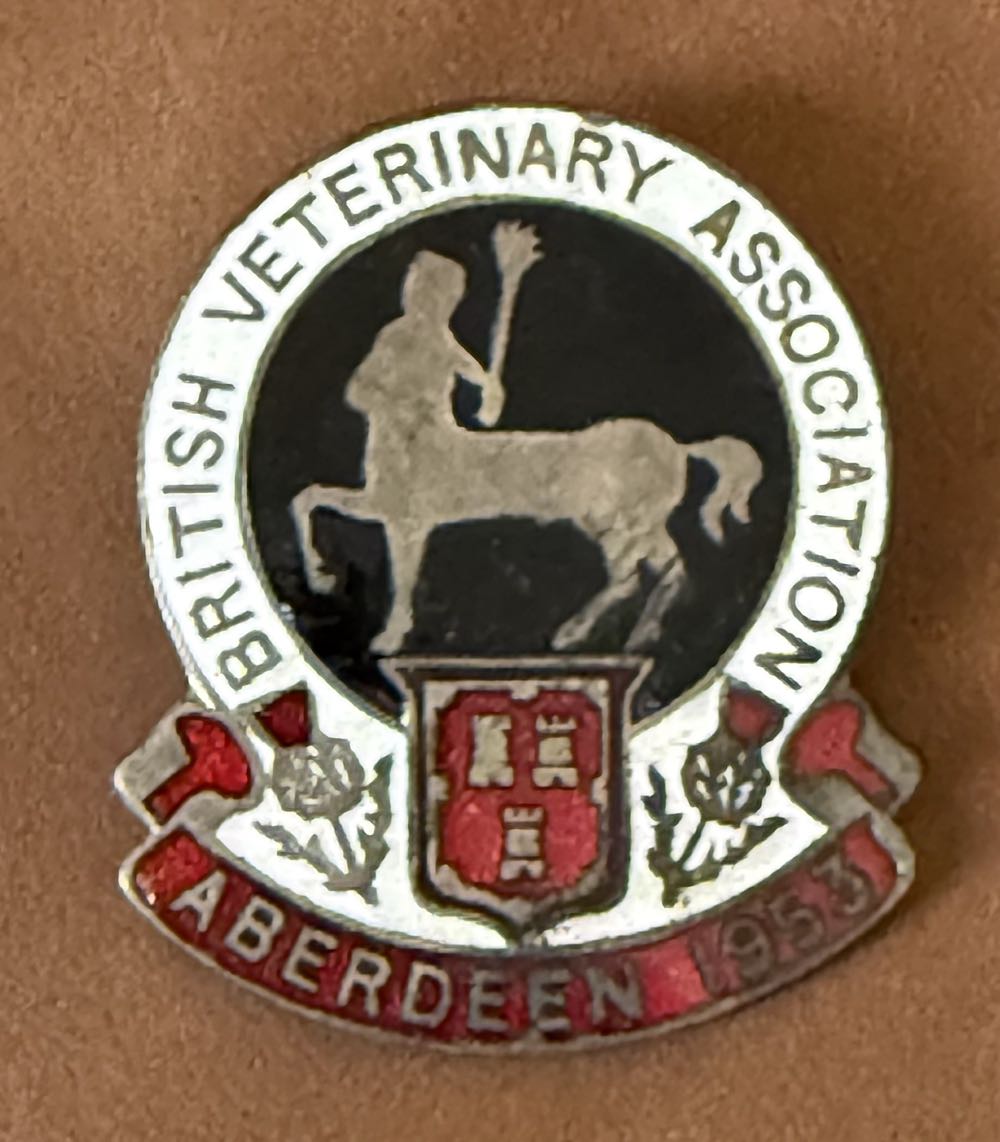 Pink And White Kitsune