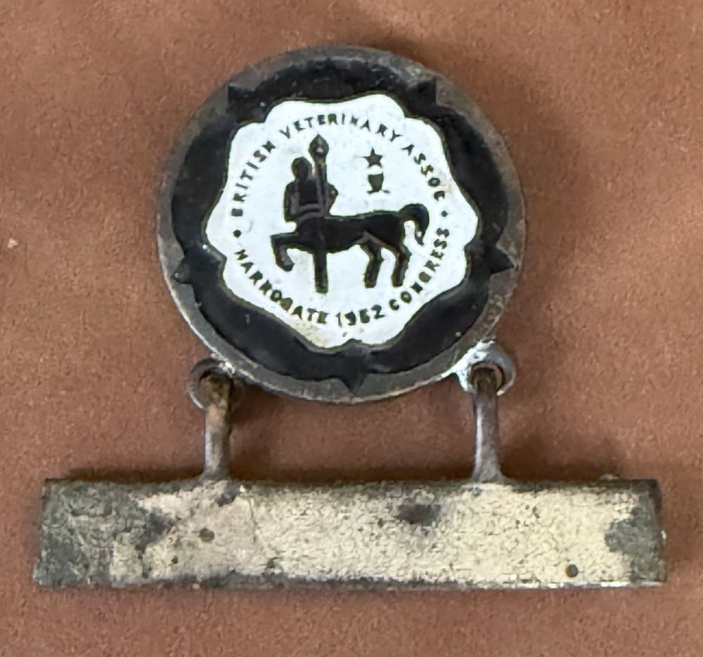 Tangled Lanterns Blind Box