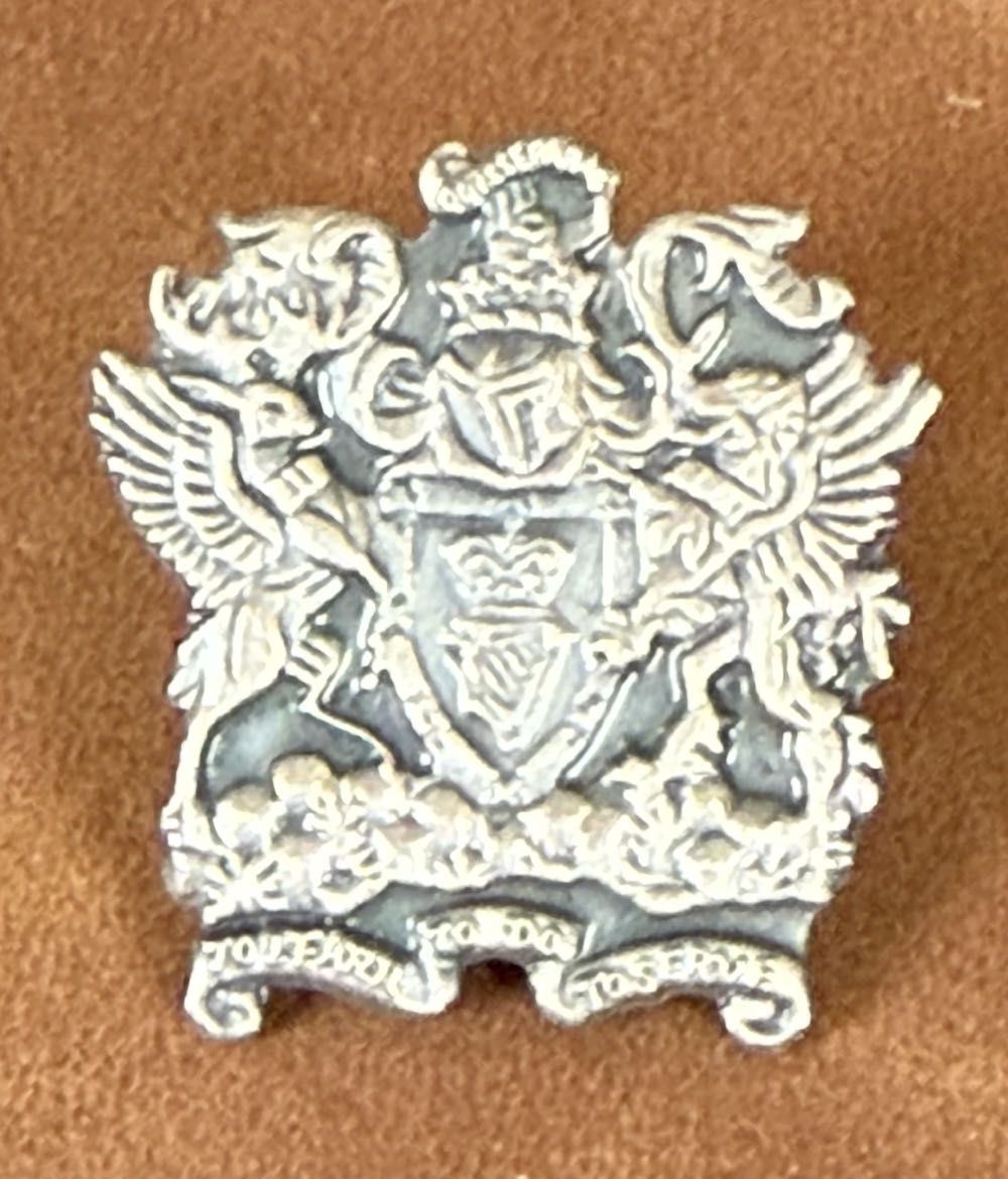 Ducks of Disney - Flounder