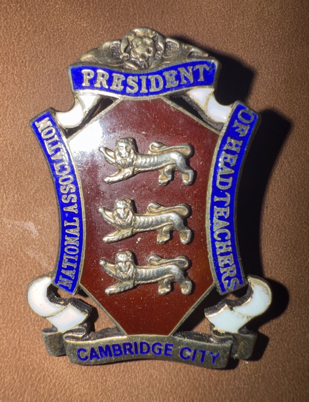 Disney Annual Passholder Pin