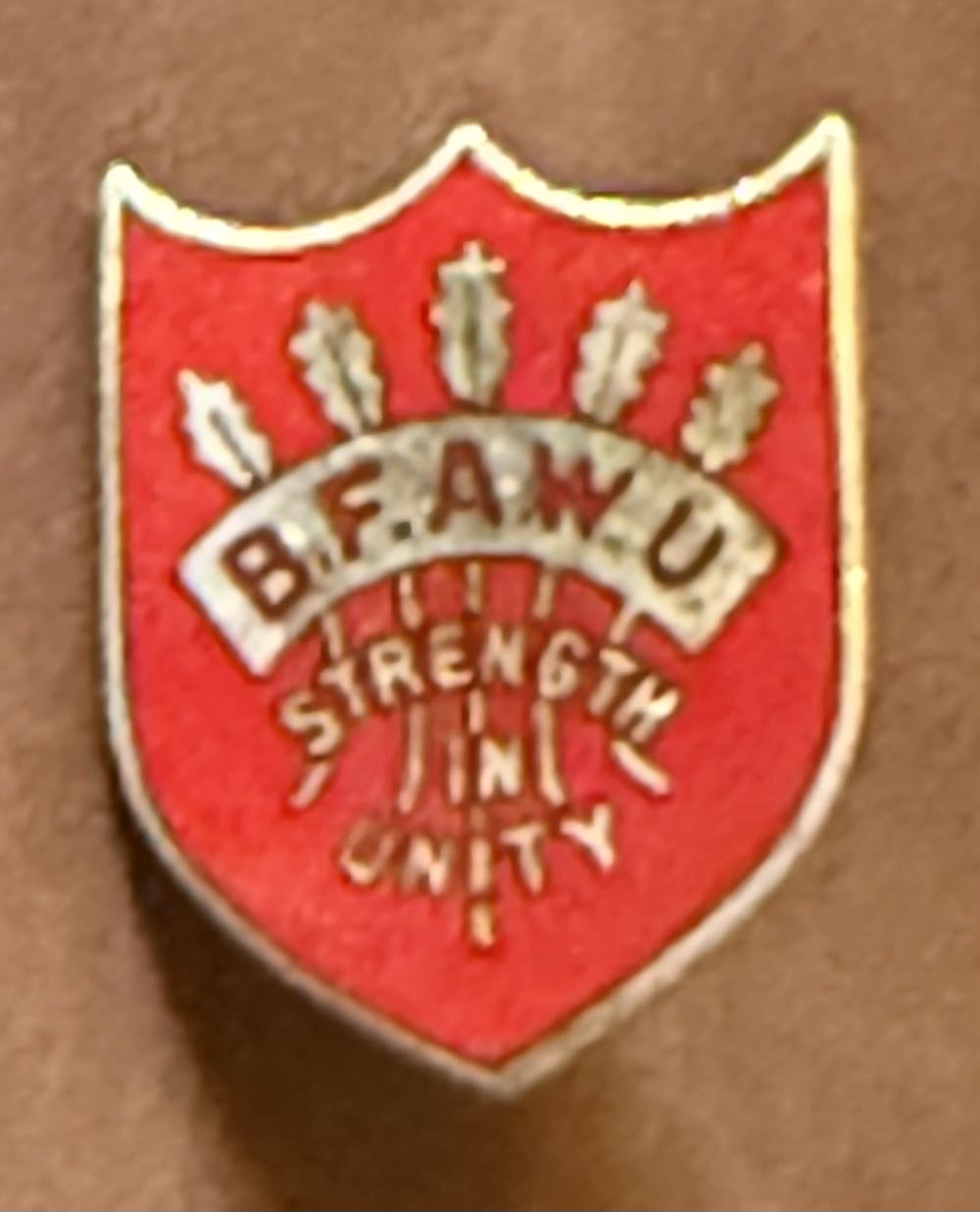 Trades Union Congress - Steward