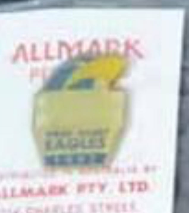 1990 WCE Member Pin  pin collectible - Main Image 2