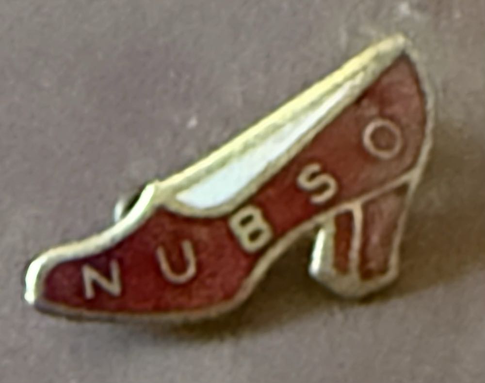 Union of Shop, Distributive and Allied Workers - Annual Delegate Meeting 1963 Delegate