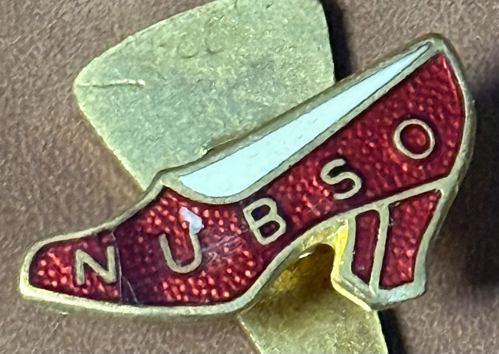 Associated Society of Locomotive Engineers and Firemen - Stewarts Lane 1860-1985