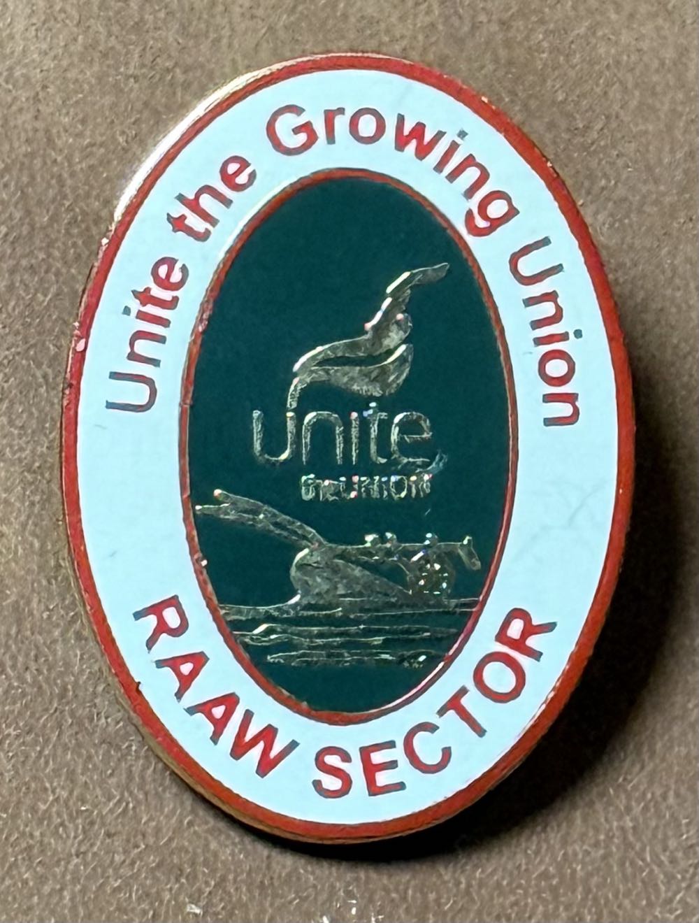 Incorporated Sanitary Inspectors Association - 1924 Whitley Bay